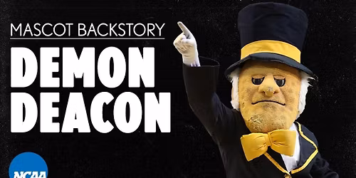 Salem Tigers at Youngstown State Penguins Womens Basketball