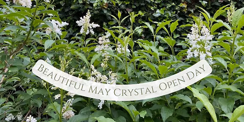 Glorious May Crystal Open Day