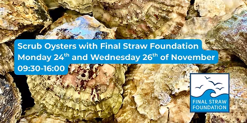Scrub Native Oysters with the Final Straw Foundation!