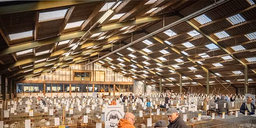 Regionale Bondsshow - Wieringerlandshow 
