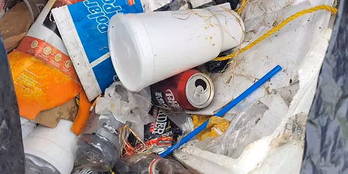 Sanders Beach Cleanup