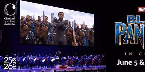 Black Panther in Concert at Fraze Pavilion