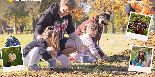 \ud83c\udf3c Memory Meadow Rotorua