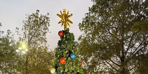 Christmas in the Park 