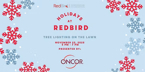 Holidays at RedBird - Tree Lightning on The Lawn