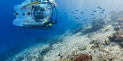 Engineering Hope: From Bay Waters to a World Mapped in Hope Spots