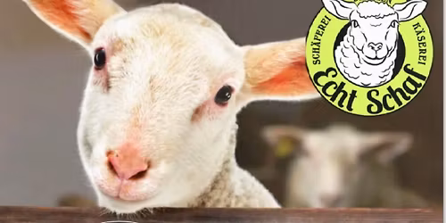 Das 9. Echt Schaf(e) Hoffest