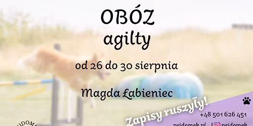 Agility z Magd\u0105 \u0141abieniec