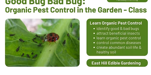 Good Bug Bad Bug: Organic Pest Control in the Garden, Tuesday morning