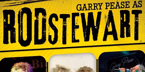 Rod Stewart Tribute Night - Knowle