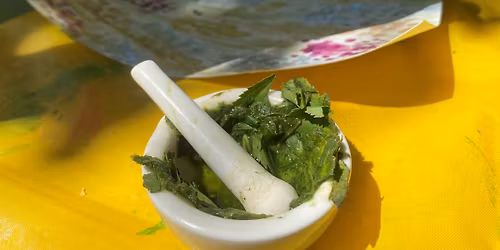 Scouts: Paint with Nature