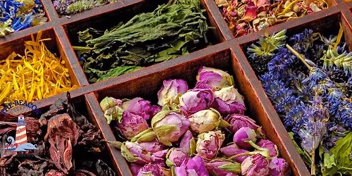 \ud83c\udf3f Herbology & Natural Living