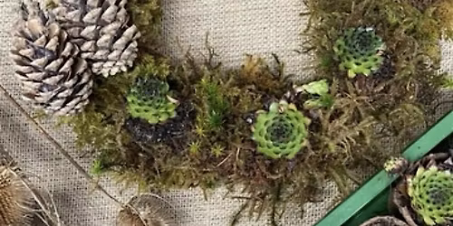 Christmas Wreaths: Evening Workshop