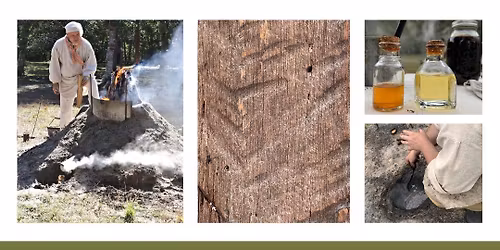 Themed Guided Tour: The Regional Impacts of Naval Stores Production