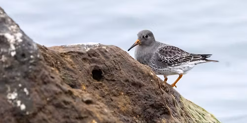 Muskegon Weekend Trip