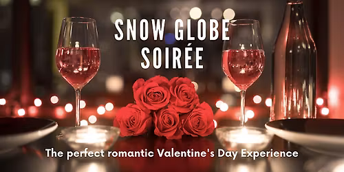 Snow Globe Soir\u00e9e: A Valentines Day Experience