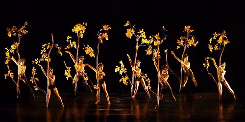 MOMIX: Bontanica