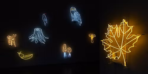 Light the Forest: featuring Jen Elek and Jeremy Bert