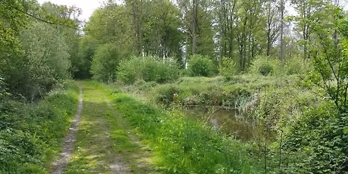 Trailtraining "Galgebossen"