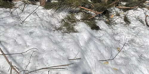 INDIAN GARDENS ORV ROUTE CLEANUP 