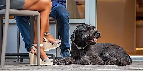 *FLASH SALE 45%* As Seen on VH1 | Blind Date Matchmaking in Long Beach