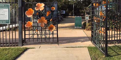 Children\u2019s Activity: Five Senses in the Garden