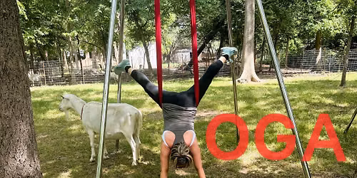 Learn \u2022 Play \u2022 Heal \u2022 International Yoga Day Celebration