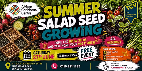 Summer Salad Growing Workshop