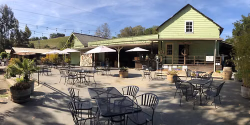 Peter Solo at Cooper-Garrod Vineyards
