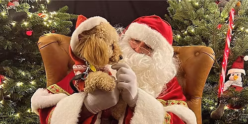 Santa Paws' Grotto Southampton 2025