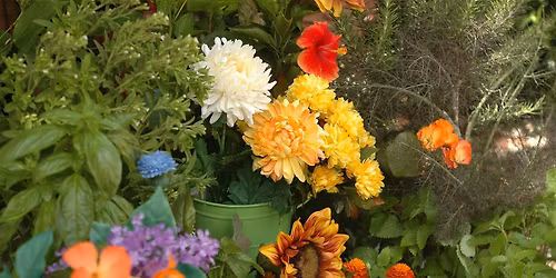 05-28-2026 Florida-Friendly Food-Scaping: Including Edibles in Your Yard