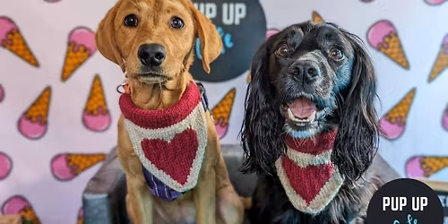 Newcastle - All Paws Pup Up Cafe \ud83d\udc9e