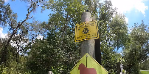 The Sasquatch chasing! 