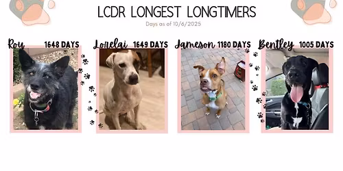 PetSmart Surprise Adoption Event