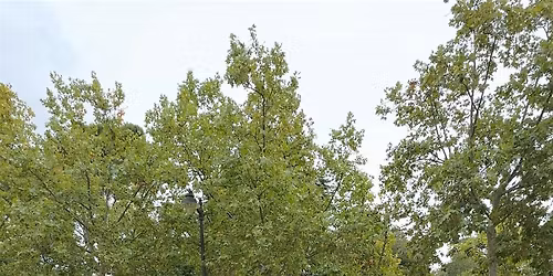 TERAPIA DE BAILE CON AURICULARES S\u00e1bado 01\/11