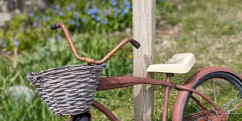 Tree ID and Natural History Tour of Oakledge Park