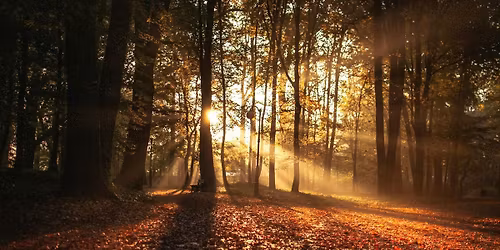 SAMHAIN MANIFESTATION DAY RETREAT