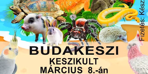 \ud83d\udc3eMADAGASCAR KIS\u00c1LLAT KI\u00c1LL\u00cdT\u00c1S\ud83d\udc3eBUDAKESZIN
