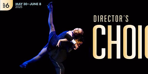 Directors Choice at Chapman Cultural Center