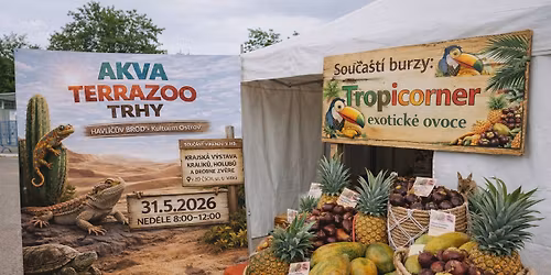 \ud83d\udc0d\ud83e\udd8e AkvaTeraZOO & Tropicorner trhy \u2013 exotika a ovoce v Havl\u00ed\u010dkov\u011b Brod\u011b \ud83c\udf4d\ud83d\udc22 31.5.2026