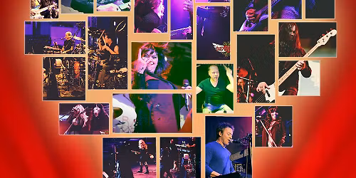 Bad Animals - The Heart Tribute