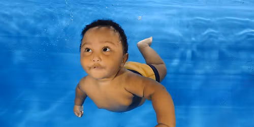 Pre Christmas Underwater Photoshoot