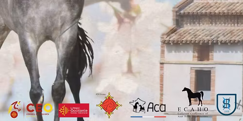 Occitanie Arabian Horse Show