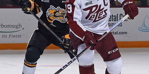 Sudbury Wolves at Peterborough Petes at Peterborough Memorial Centre