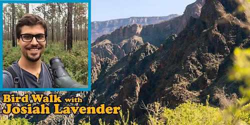 Bird Walk with Josiah Lavender