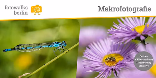 Fotokurs Berlin: Makrofotografie  Outdoor am 06.06.2026 + Bildbesprechung