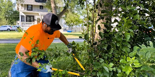 Memorial & Elmwood Park Tree Care