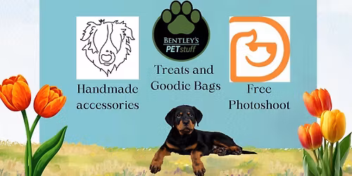 Dogtopia Spring Rescue Soir\u00e9e