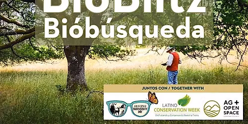 BioBlitz at Santa Rosa Southeast Greenway