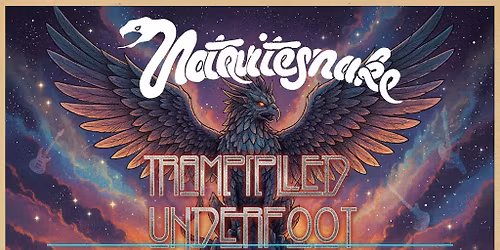 A Night of Classic Rock